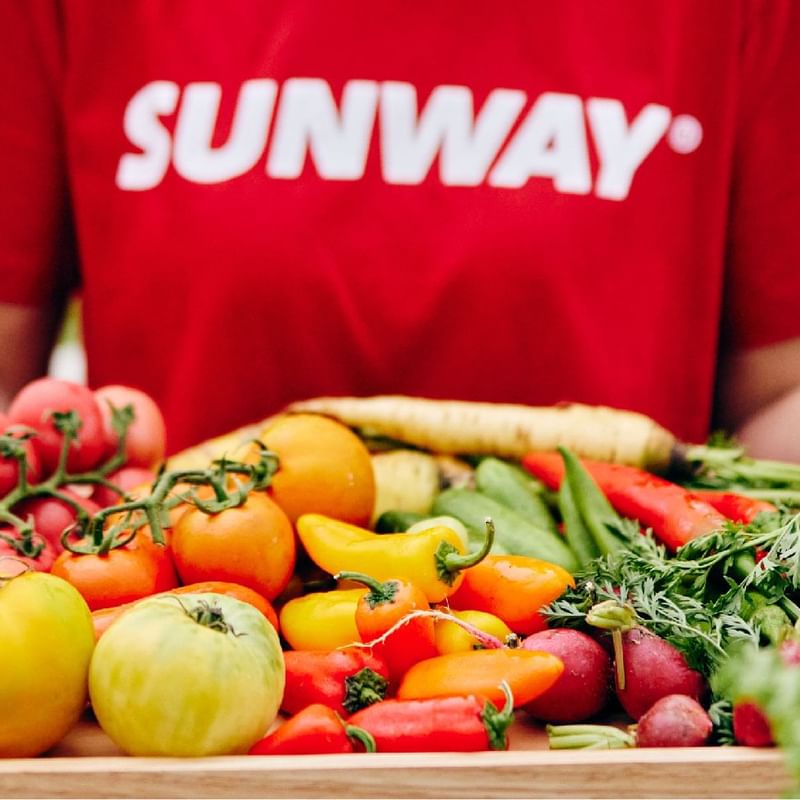 Person in SUNWAY shirt holding freshly picked colorful veggies at Sunway Resort